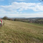 Blick auf Öhringen und die Waldenburger Berge