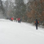 Im Schneesturm bei Witzmannsweiler