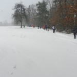 Im Schneesturm bei Witzmannsweiler 2