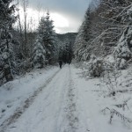 Verschneiter Wanderweg ins Ohrntal