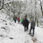 Schöner verschneiter Wanderweg