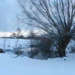 Winterlicher See bei Blindheim