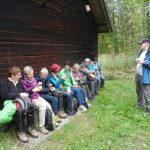 Vesperpause im Wald