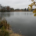 Buchhorner See