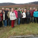 Unterhalb vom Braunenberg