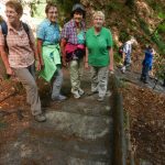 Wanderweg runter zur Elbe