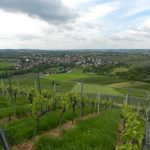 Blick auf Michelbach/W.