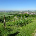 Blick auf Wurmlingen