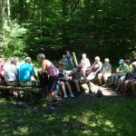 Mittagspause im Wald