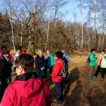 Die Wandergruppe in der Viehweide