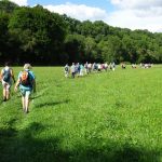 Sehr schöner Wanderweg im Kochertal