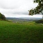 Blick ins Weinsberger Tal